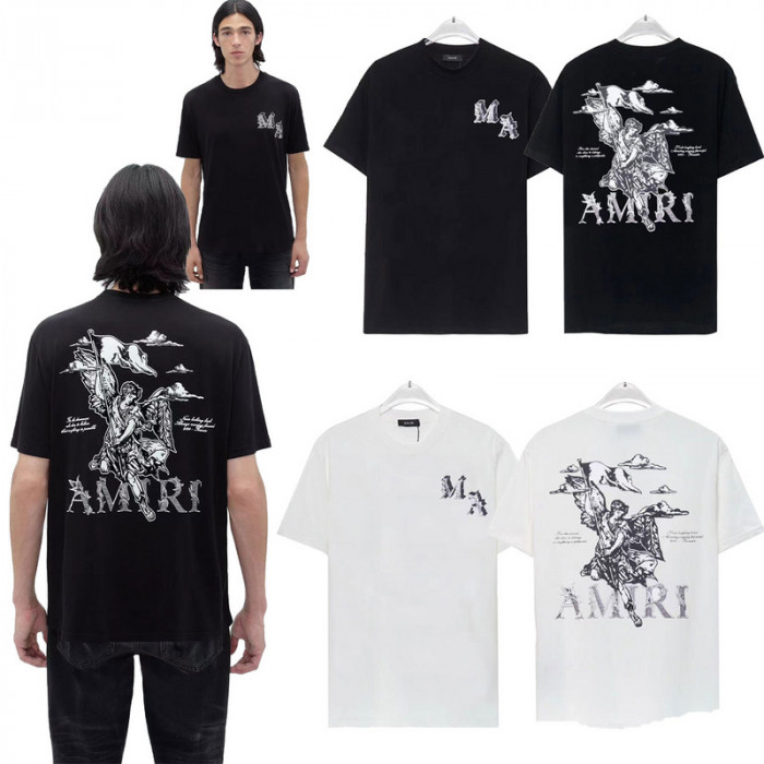 am1r1 am229-017