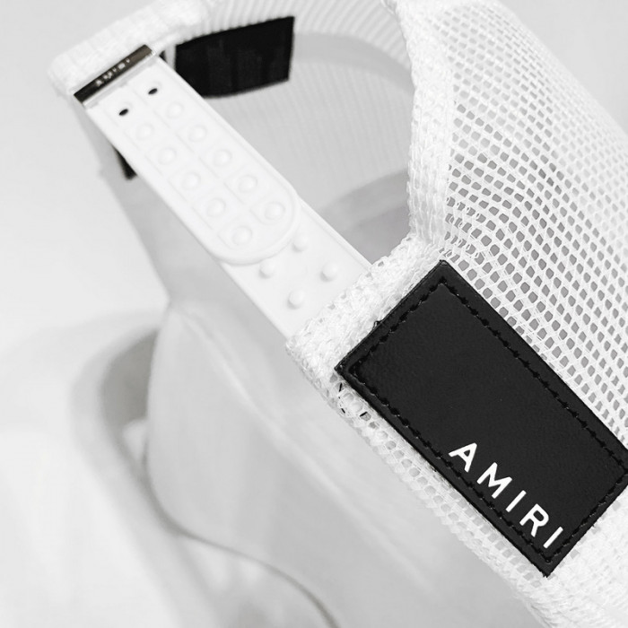 am1r1 am229-066