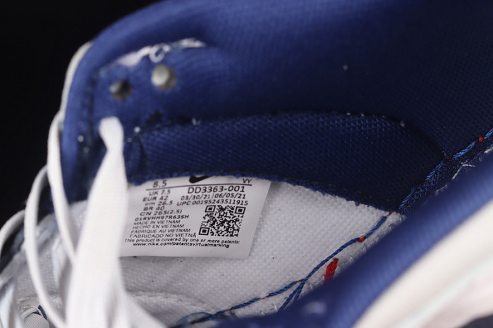 nba x dunk low emb