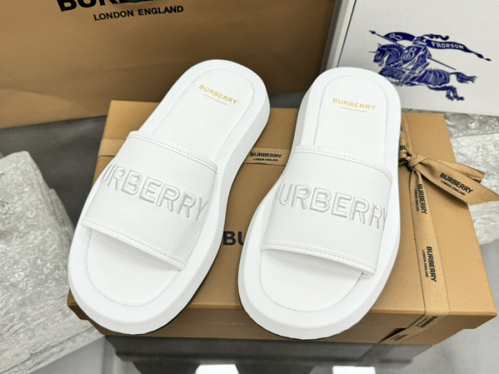 bur ** slides bur-428019