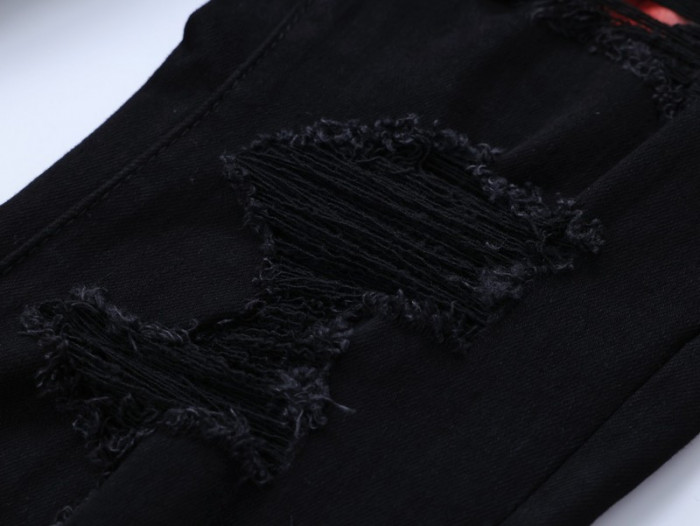 AM1R1 AM229-113