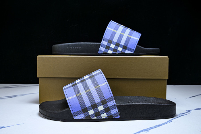 BUR ** slides BUR-428031