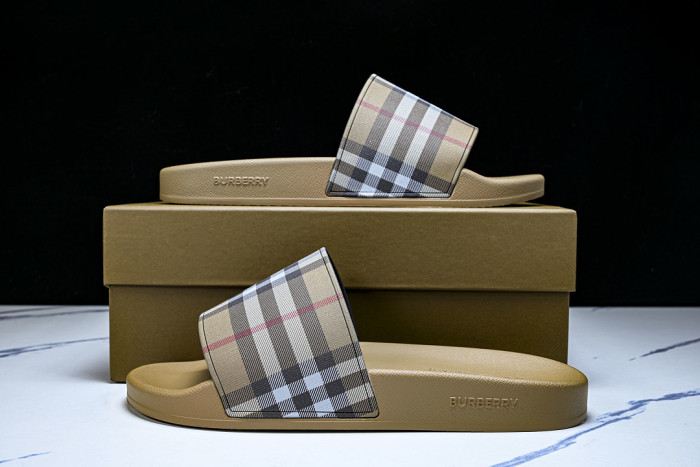 BUR ** slides BUR-428032