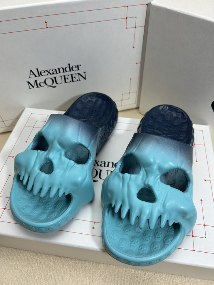 maq slides mcs-004