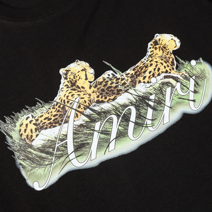 am1r1 am229-019