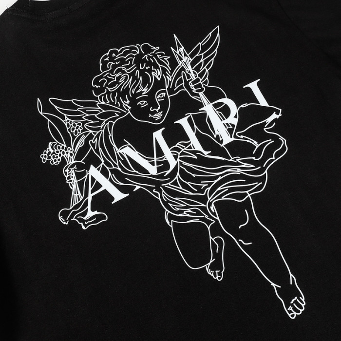 am1r1 am229-041