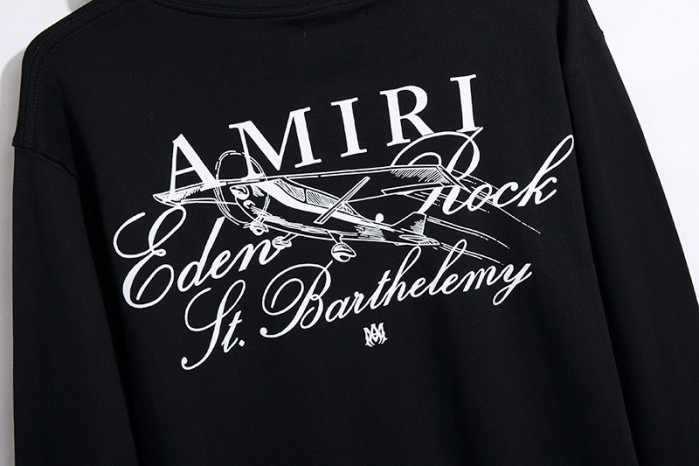 am1r1 am229-051