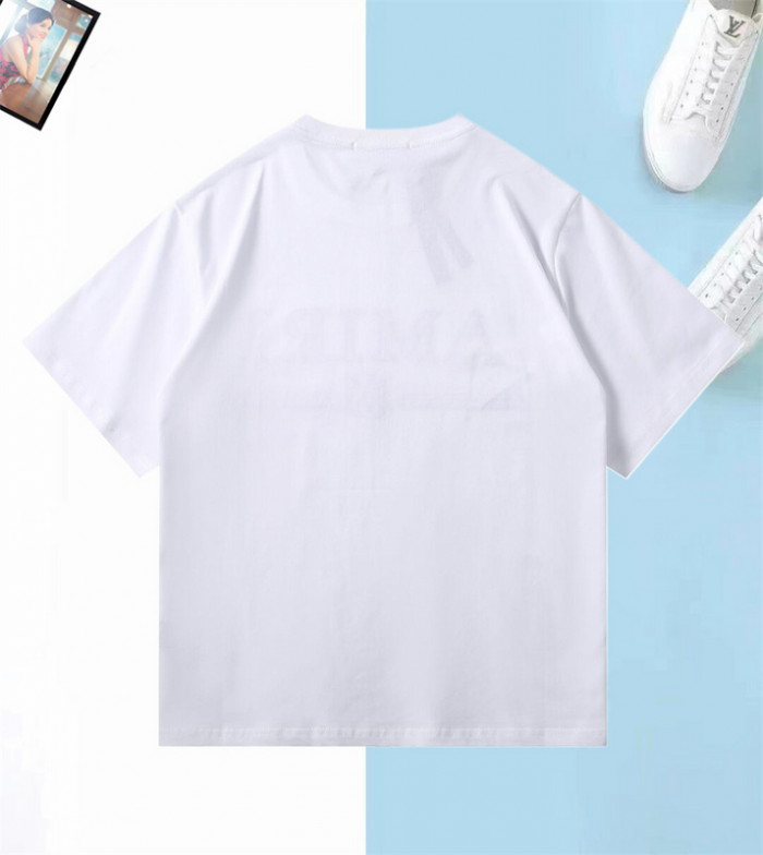 am1r1 am229-010