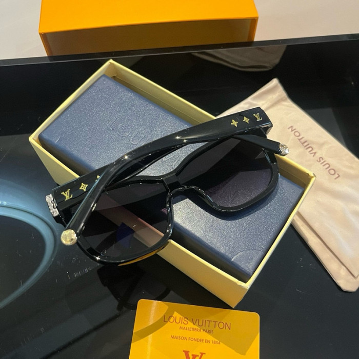 sunglasses SG0410-024