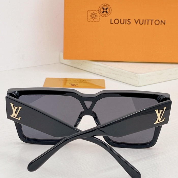sunglasses SG0410-027