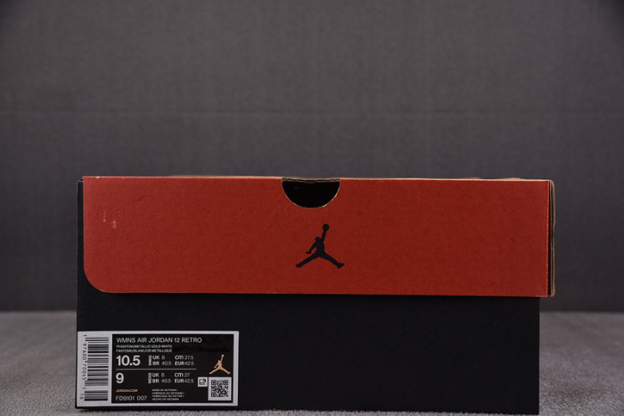 Air Jordan 12 Retro 