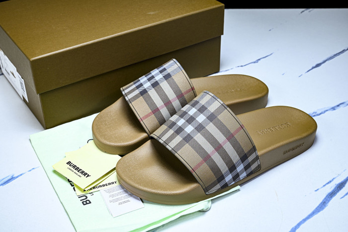 BUR ** slides BUR-428032