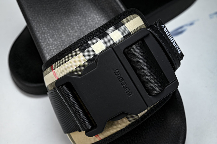 BUR ** slides BUR-428029