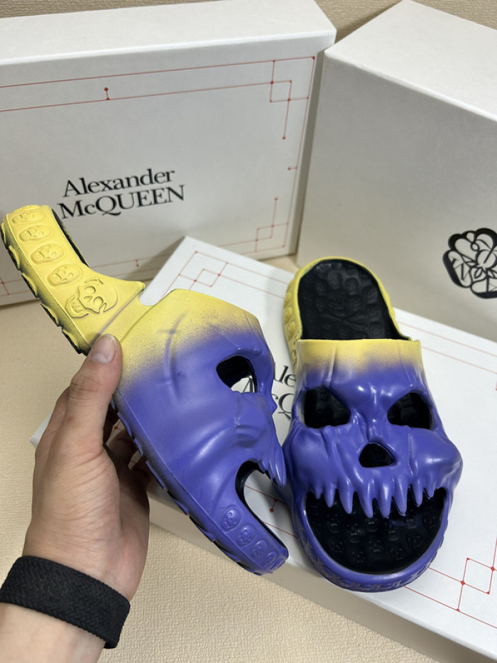 maq slides mcs-003