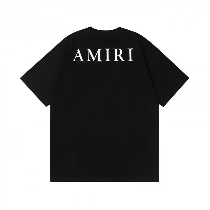 am1r1 am229-039