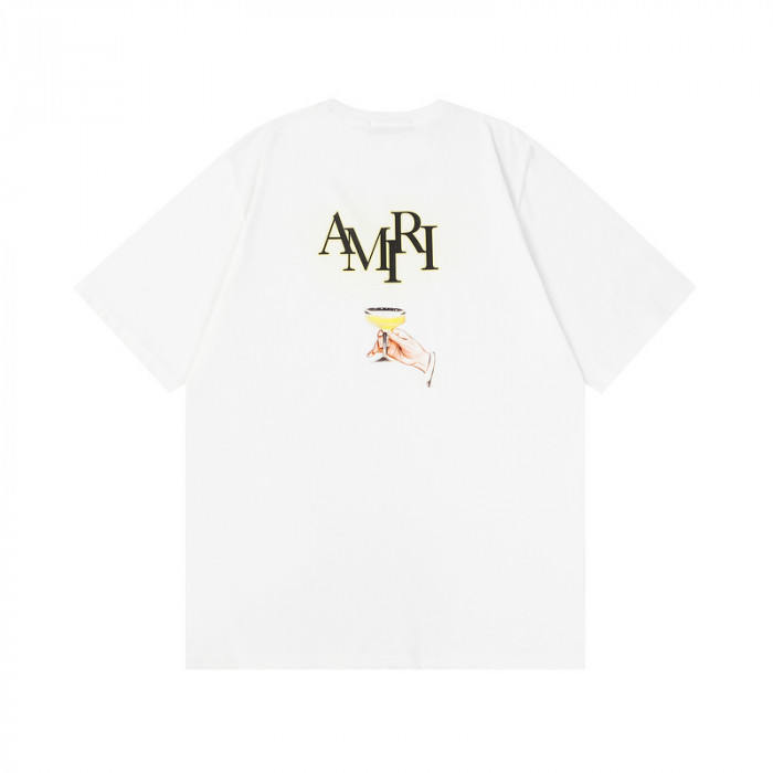 am1r1 am229-040