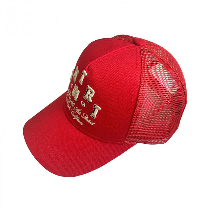 am1r1 am229-065