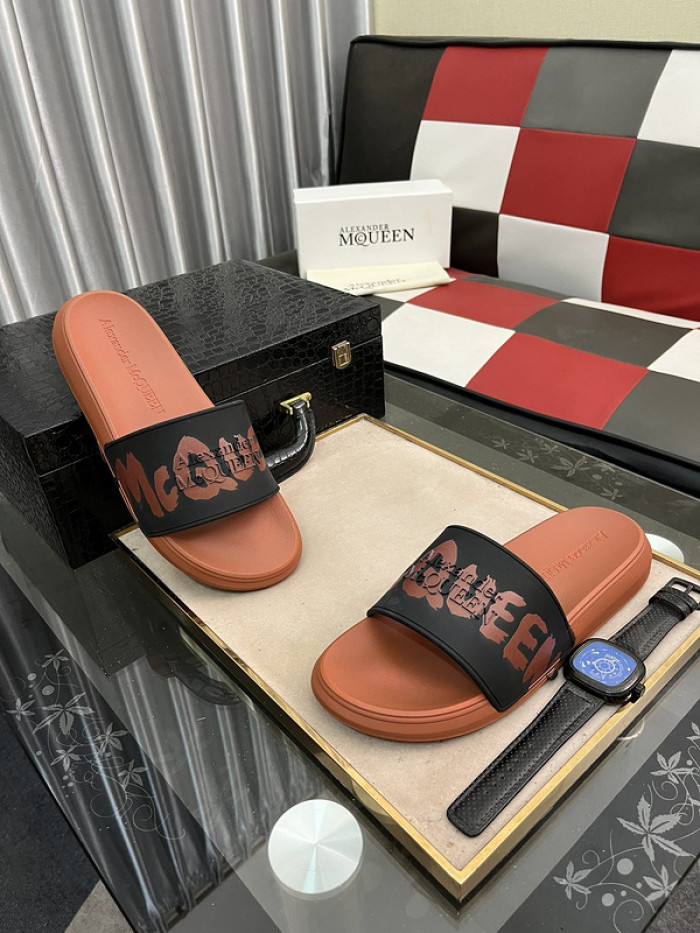 maq slides mcs-009