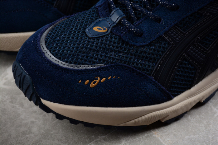 as1cs gel 1090 v2 