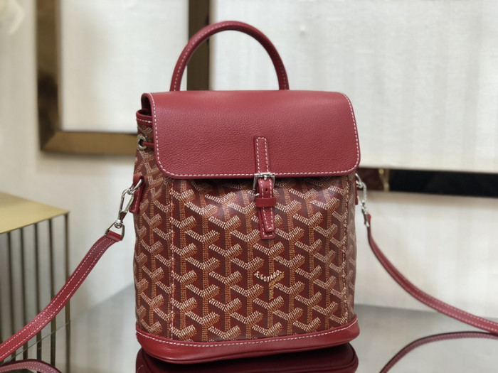 g0yard bag B0113-098