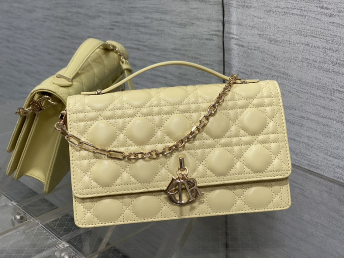D*R bag 24×14×7.5cm B0113-152
