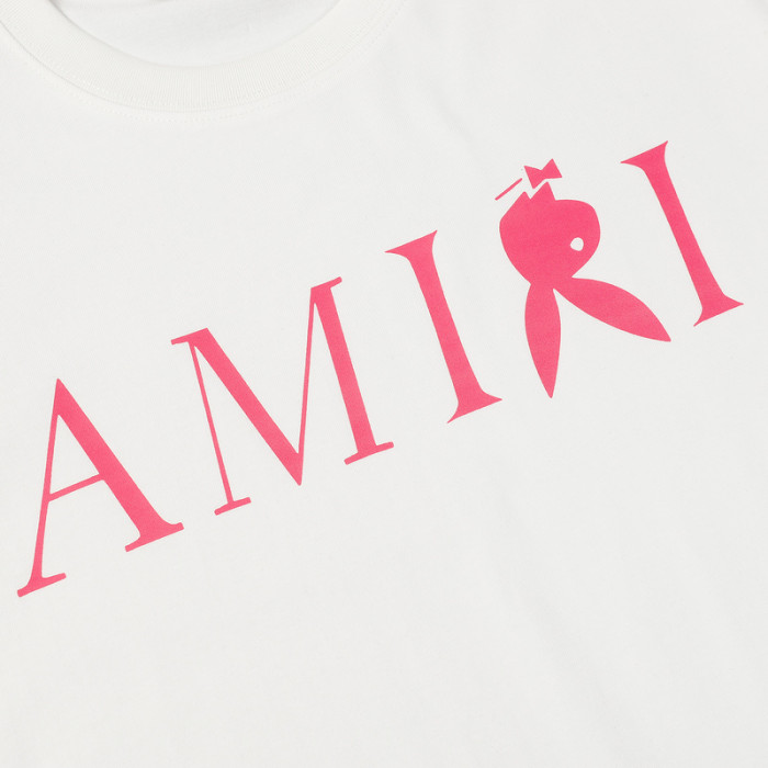 am1r1 am229-028