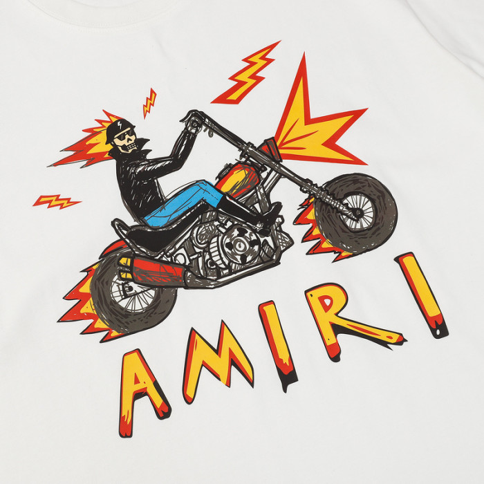 am1r1 am229-030