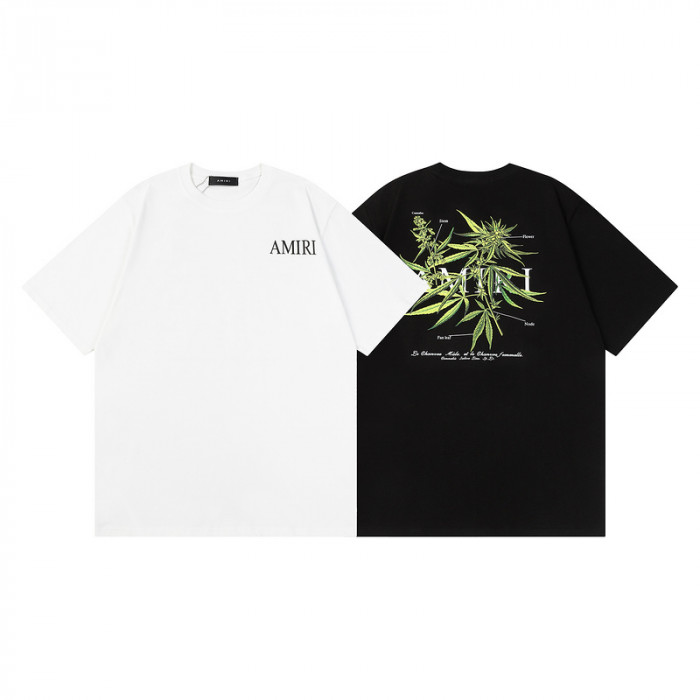 am1r1 am229-038