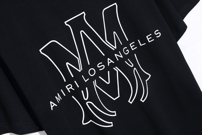 am1r1 am229-045
