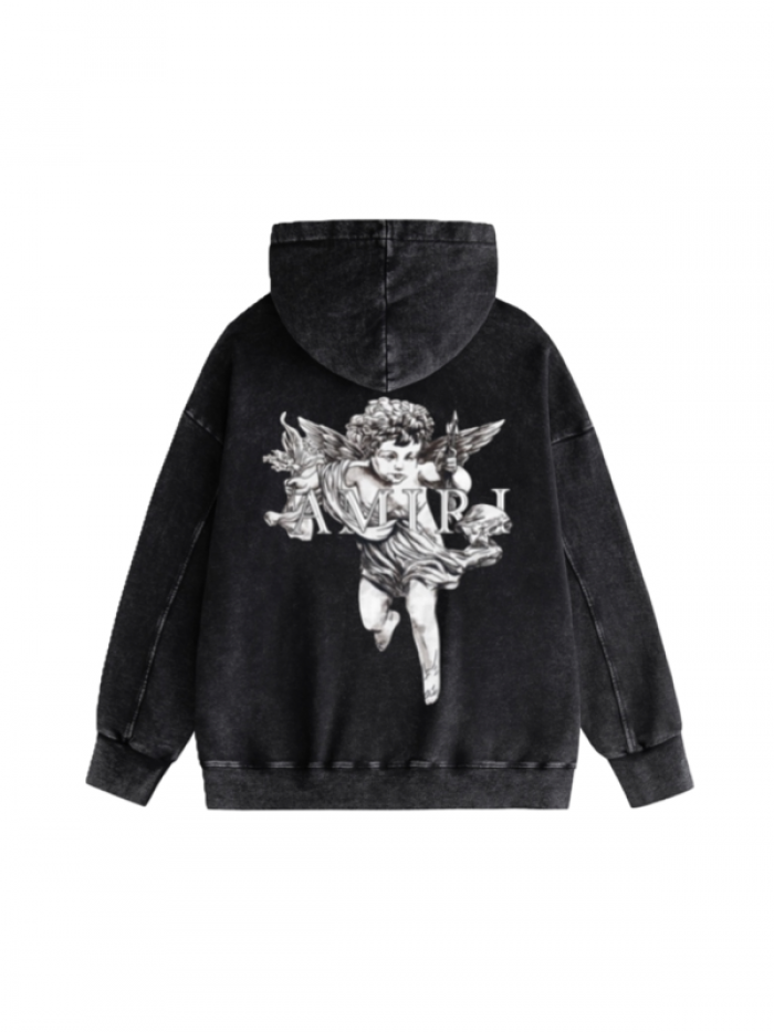 am1r1 am229-049