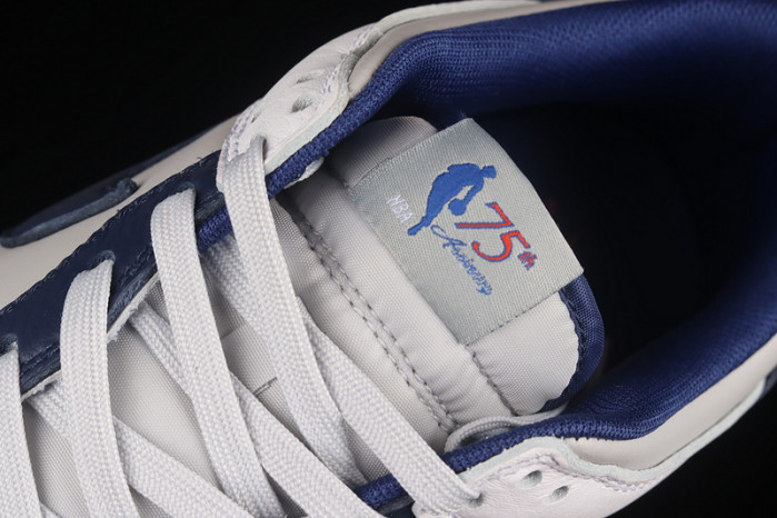 nba x dunk low emb