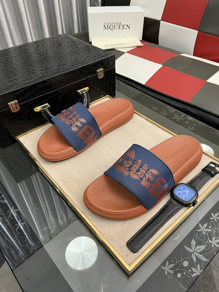 maq slides mcs-011