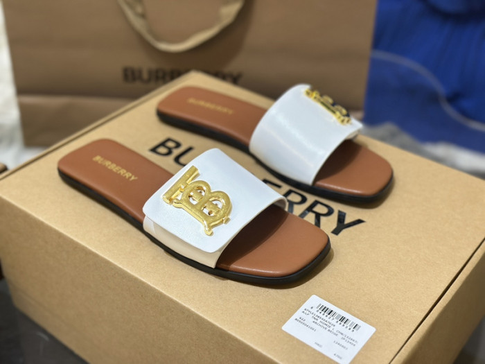 bur ** slides bur-428023