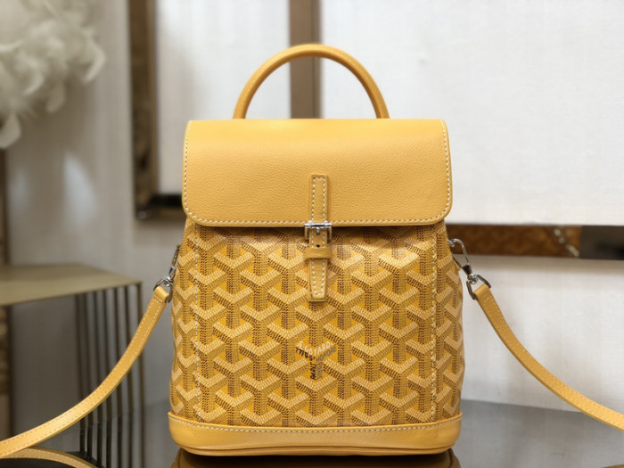 g0yard bag B0113-101