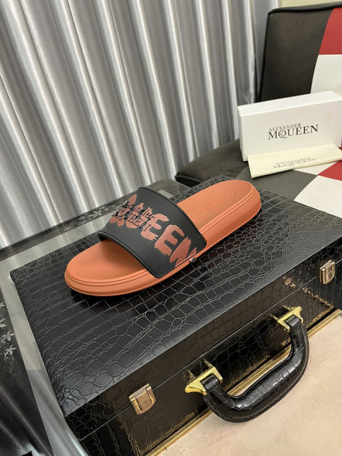 maq slides mcs-009