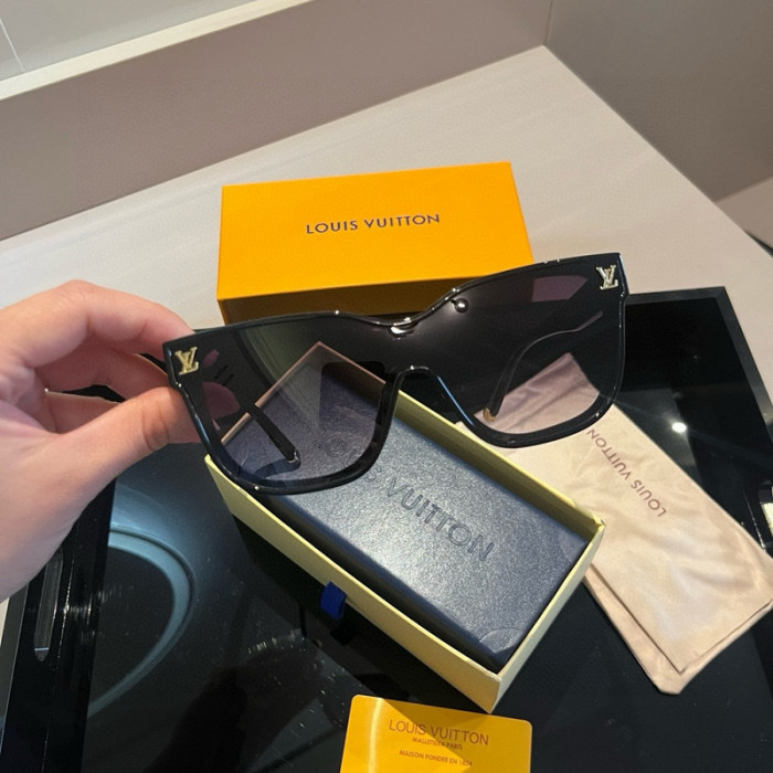 sunglasses SG0410-024