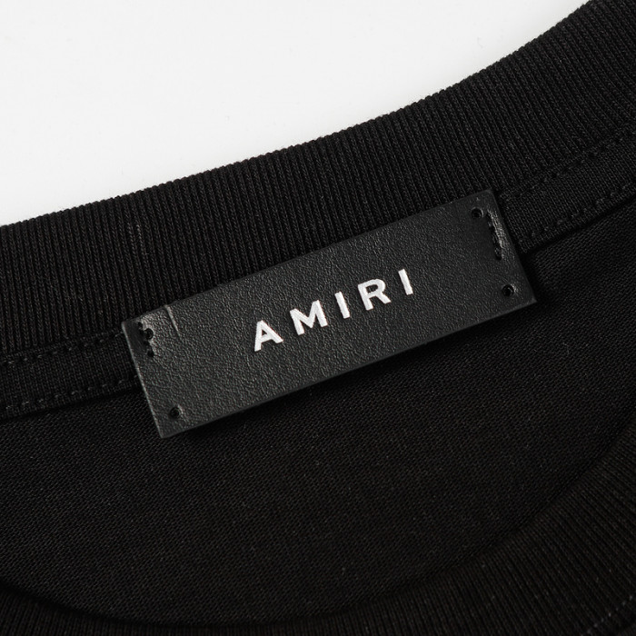 am1r1 am229-021