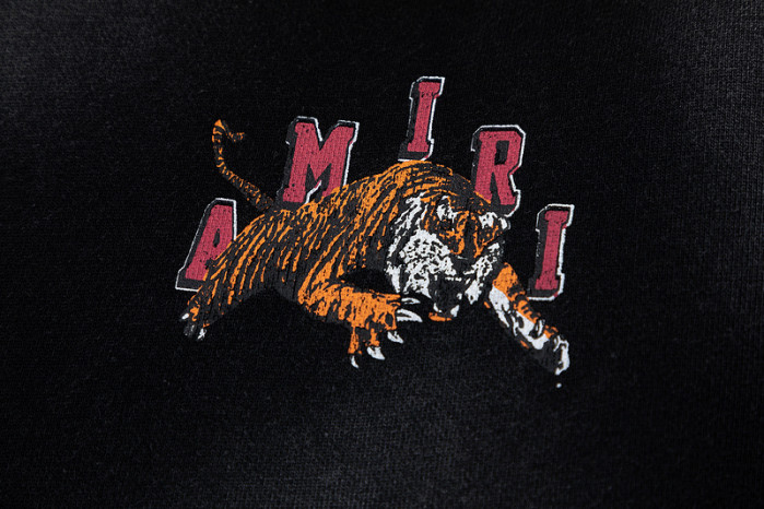 am1r1 am229-057