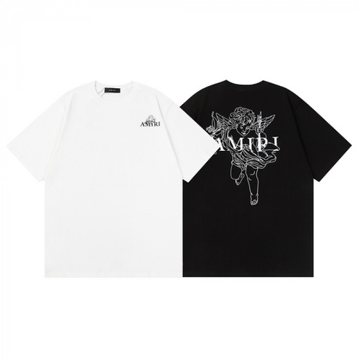 am1r1 am229-041