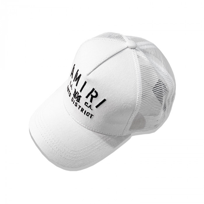 AM1R1 AM229-121