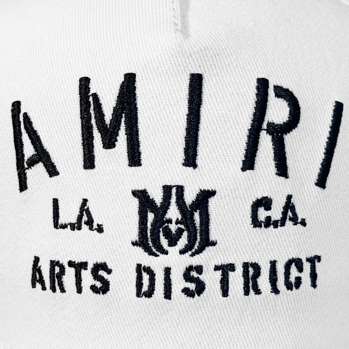AM1R1 AM229-121